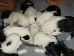 1 st feeding solid food 001.jpg