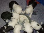 1 st feeding solid food 003.jpg