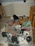 4th of July updates 017.jpg