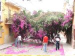 DSCF2550.JPG