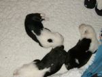 June 17 2007 050.jpg