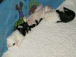 june 17 2007 049.jpg