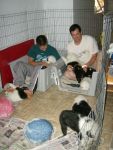 norm and puppies 002.jpg