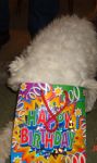 cork_s 9th bd sm.jpg