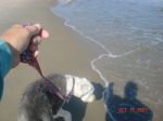 shore.jpg