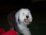 Benny_002.jpg