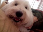 PhotoBoothPic.jpg