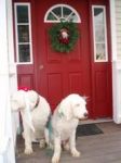 christmas 6.jpg