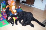 Halloween 2006 003.jpg