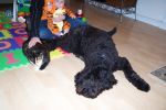 Halloween 2006 004.jpg