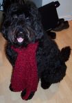 My cute scarf 002.jpg