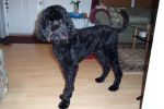 Pooh Bear Nekkid at 11 and a half months 001.jpg