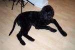 Pooh Bear Nekkid at 11 and a half months 004.jpg
