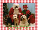 3 Shaggies Christmas 2005.jpg
