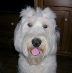 August 20, 2007 ... beginning my 2nd yr as a Georgia Blossom aka Beebles.JPG