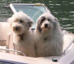 shaggy girls on Lake Burton 2008.jpg