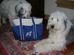 the tote...mama there are cookies in here.JPG
