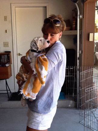 Click to view full size image