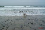My Pictures0007~0.jpg