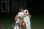 My Pictures0010.jpg