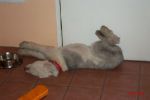 My Pictures0011~0.jpg