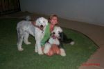 My Pictures0015.jpg