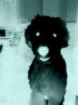 black and white.jpg