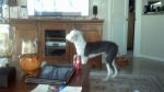 lola and card.jpg