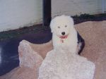 old pics 004.jpg