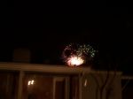 panda and fireworks 005.jpg