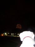 panda and fireworks 029.jpg