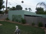 panda soccer 004.jpg