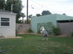 panda soccer 005.jpg