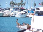 san diego 2008 001.jpg