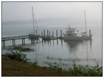 Foggy_Day_by_Muffinhands.jpg