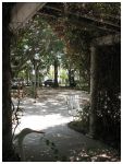 The_Magnolia_Walk_by_Muffinhands.jpg
