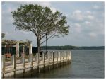 The_Water_Front_by_Muffinhands.jpg