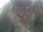 IMG00143-20100630-0712.jpg