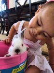 bunny21-0.jpg