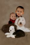 family8.jpg