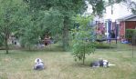 Distrations_0004_4.jpg