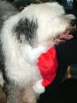 DSCF2079.JPG