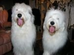 theboys9mths.jpg