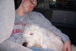 100_0078.JPG