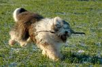 cherie_00462.JPG