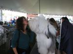 IMG_3018.JPG