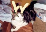 MurrayChristmas.JPG