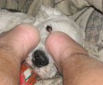 Pepsifeet3.JPG
