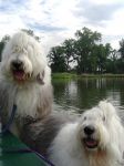 Beau & Genny on paddle boat.jpg