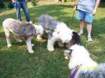 Beau, Milo, Mallory and Genevieve.jpg